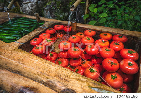 tomatoes chilled in natural water tomatoes chilled in natural water 104465166