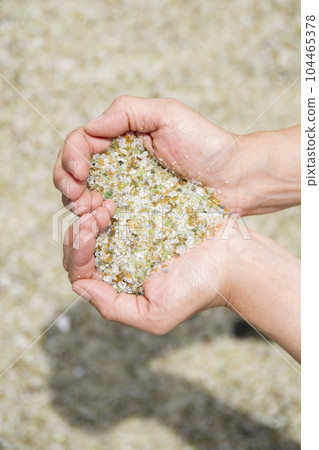 Glass Beach [Omura City, Nagasaki Prefecture] 104465378