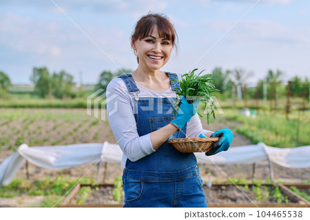 Portrait of smiling farmer woman with basket of arugula herbs looking at camera Portrait of smiling farmer woman with basket of arugula herbs looking at camera 104465538