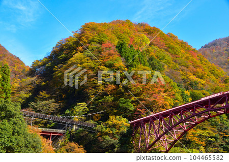 Autumn Kurobe Gorge Unazuki Autumn Kurobe Gorge Unazuki 104465582