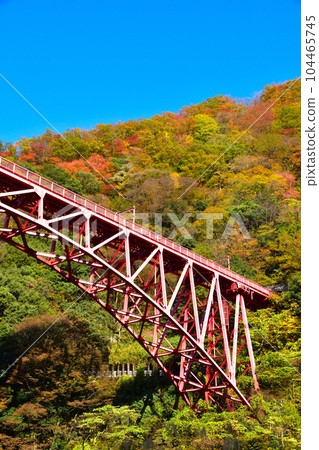 Autumn Kurobe Gorge Shinyamabiko Bridge 104465745
