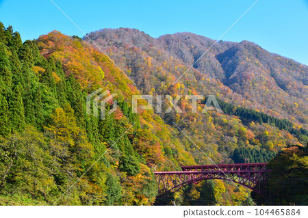 秋天的黑部峽谷宇奈月 104465884