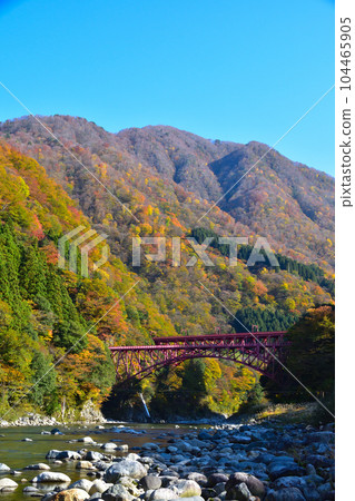 Autumn Kurobe Gorge Unazuki 104465905
