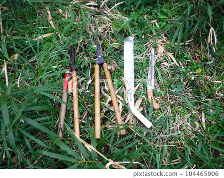 Pruning tool 104465906