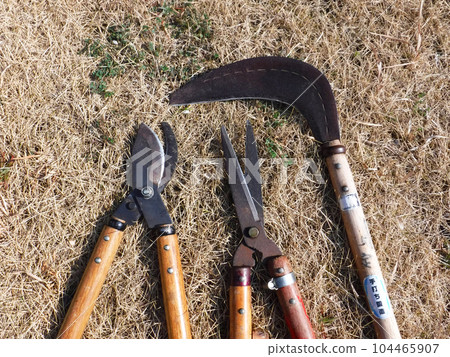 鋒利的修剪工具 104465907