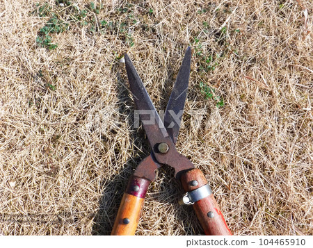 sharpened pruning shears sharpened pruning shears 104465910