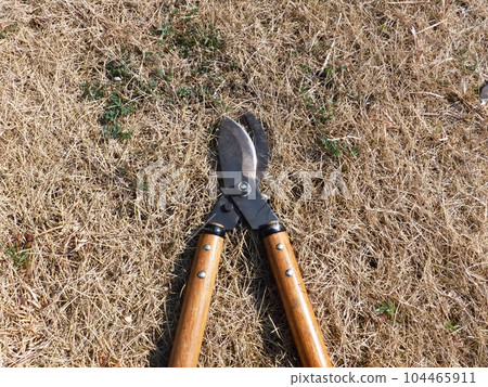 sharpened branch shears sharpened branch shears 104465911