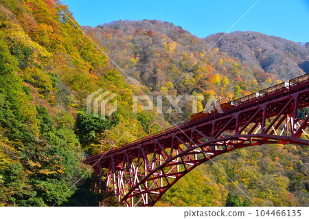 Autumn Kurobe Gorge Railway Shinyamabiko Bridge 104466135