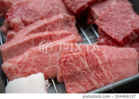 Ingredients for grilled meat Ingredients for grilled meat 104466137