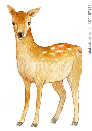 水彩插圖鹿動物 水彩插圖鹿動物 104467122