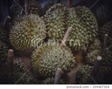Group of durians in the durian market. thailand Group of durians in the durian market. thailand 104467304