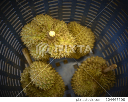 Group of durians in the durian market. thailand Group of durians in the durian market. thailand 104467308