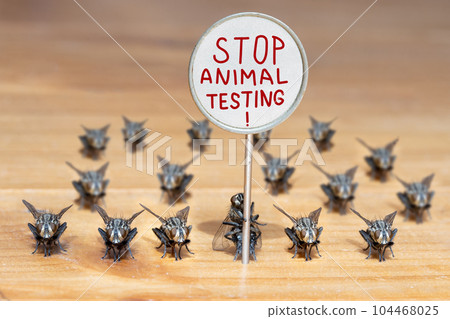 The group of a flies stands with an board with a text Stop Animal Testing. 104468025