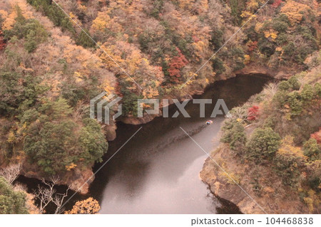 Valley with beautiful autumn leaves Valley with beautiful autumn leaves 104468838