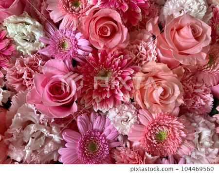 Assortment of pink flowers such as roses and gerberas Assortment of pink flowers such as roses and gerberas 104469560