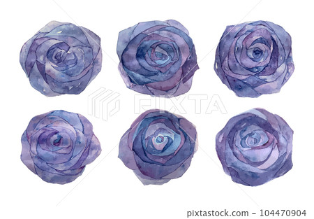 watercolor blue rose 104470904