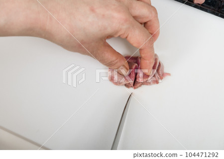 [家庭主婦用刀準備烤雞肉串豬舌] 104471292