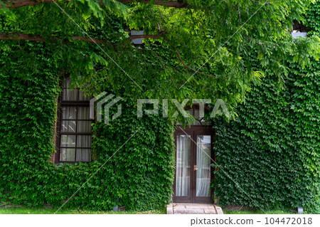 倉敷常春藤廣場 104472018