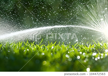 Water splash spray at the grass or garden field could be from hose or garden sprinkler. Watering the plant. Water splash spray at the grass or garden field could be from hose or garden sprinkler. Watering the plant. 104472563