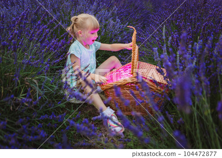 There are lavender fields surrounding a young girl with a hat and she looks into a magic basket 104472877
