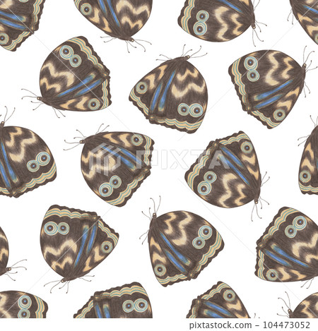 Seamless Pattern with Hand Drawn Colorful Butterflies on White Background. Digital Paper with Butterfly. Seamless Pattern with Hand Drawn Colorful Butterflies on White Background. Digital Paper with Butterfly. 104473052