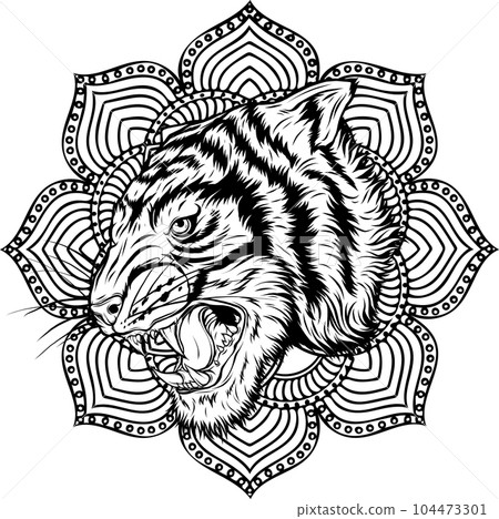 outline of Tiger head vector illustration design outline of Tiger head vector illustration design 104473301