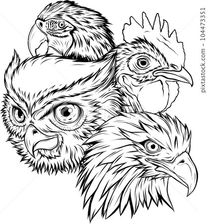 vector illustration of outline Owl head design vector illustration of outline Owl head design 104473351