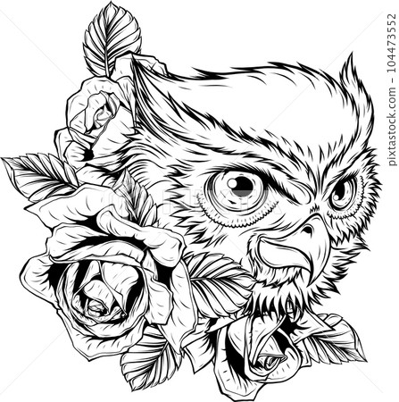 vector illustration of outline Owl head design vector illustration of outline Owl head design 104473552
