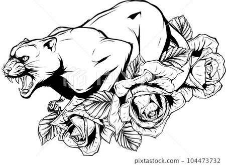 Contour linear drawing illustration of the wild puma Contour linear drawing illustration of the wild puma 104473732