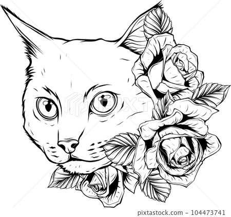 Vector illustration of Black silhouette of cat. Vector illustration of Black silhouette of cat. 104473741