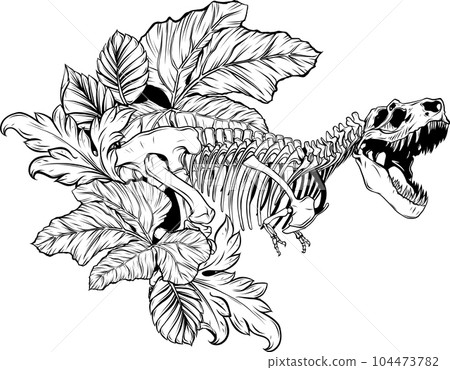 vector Tyrannosaurus Rex dinosaur skeleton outline illustration 104473782