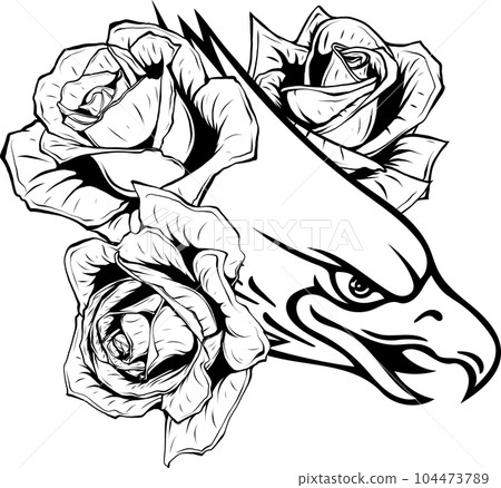 Eagle head in outline style. vector illustration Eagle head in outline style. vector illustration 104473789