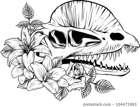 Black Line Dinosaur Dilophosaurus Skull vector illusatration Black Line Dinosaur Dilophosaurus Skull vector illusatration 104473993