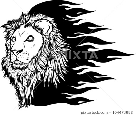 illustration vector of Lion head outline design illustration vector of Lion head outline design 104473998