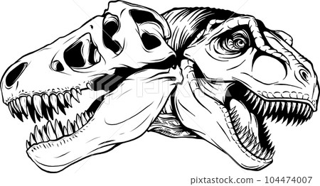 Drawing of a Tyrannosaurus Rex Stock Vector - Illustration of