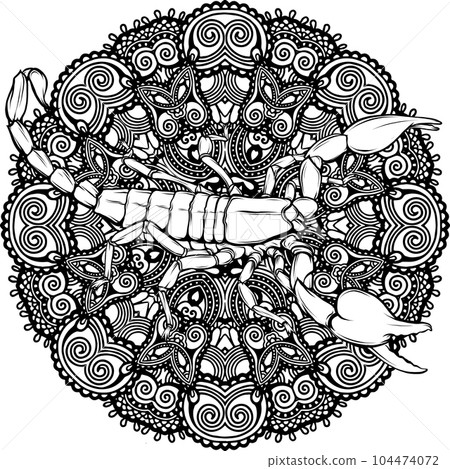 vector illustration of scorpion outline graphic design 104474072