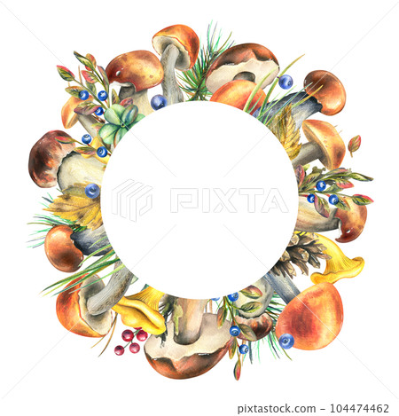 Forest edible mushrooms boletus and chanterelles with blueberries and lingonberries, branches and cones, leaves and grass. Watercolor illustration, hand drawn. Round frame on a white background. 104474462