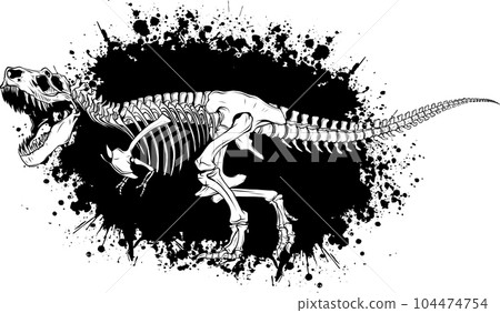 vector Tyrannosaurus Rex dinosaur skeleton outline illustration 104474754