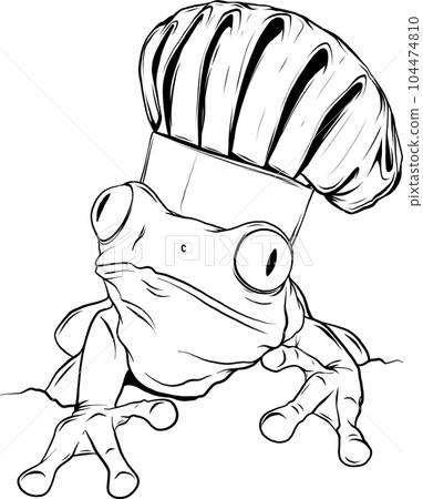 vector frog in black and white outline 104474810