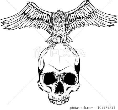 Vector Cartoon Bald Eagle With Spreaded Wings Line Art Vector Cartoon Bald Eagle With Spreaded Wings Line Art 104474831