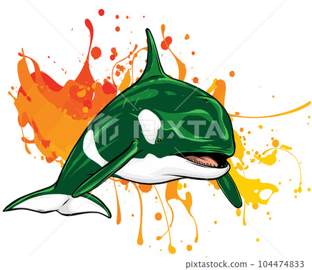 colored Killer Whale Spirit Orca Jumping Vector illustration colored Killer Whale Spirit Orca Jumping Vector illustration 104474833