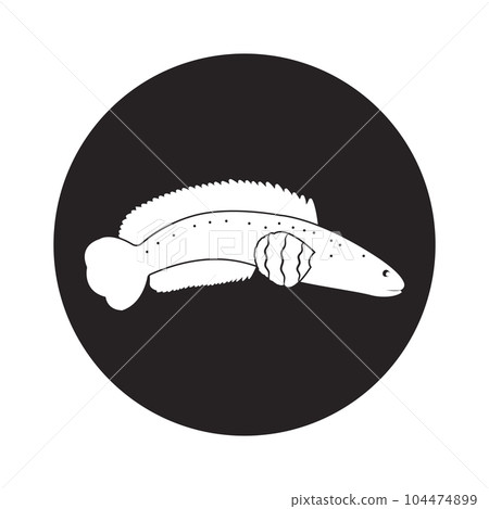 Snakehead Fish icon 104474899