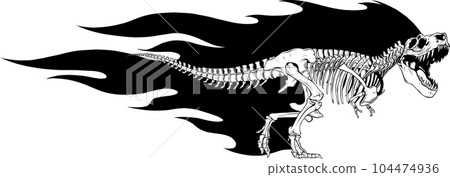 vector Tyrannosaurus Rex dinosaur skeleton outline illustration vector Tyrannosaurus Rex dinosaur skeleton outline illustration 104474936