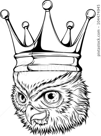 vector illustration of outline Owl head design 104474945