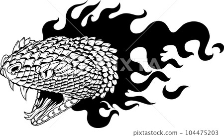 snake head outline in black and white snake head outline in black and white 104475203