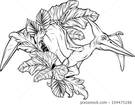 Vector black hand drawn outline flying pterodactyl dinosaur Vector black hand drawn outline flying pterodactyl dinosaur 104475286
