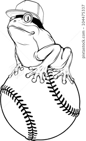 vector frog in black and white outline vector frog in black and white outline 104475337