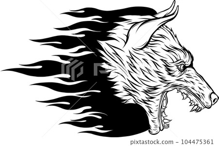 Vector illustration of Wolf head. Outlined drawing. 104475361