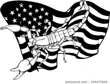 vector illustration of scorpion outline graphic design vector illustration of scorpion outline graphic design 104475609