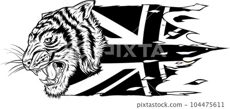 outline of Tiger head vector illustration design outline of Tiger head vector illustration design 104475611